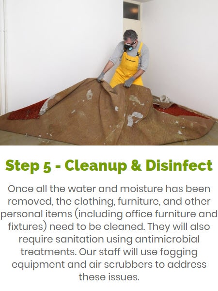 water cleanup & disinfection