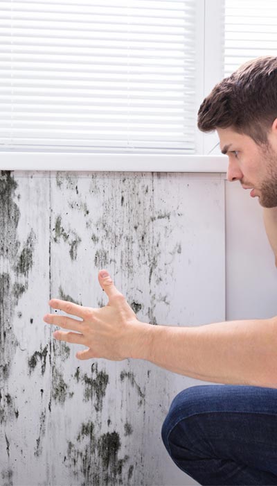 man noticing mold on wall