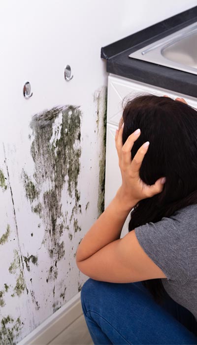 mold growth in kithcen